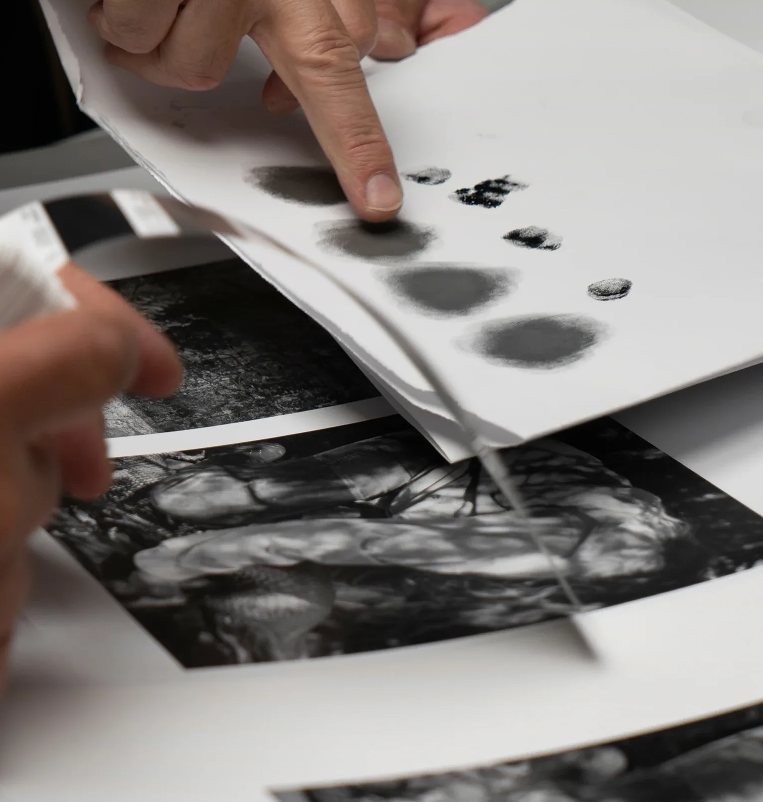 Trifolio about 02