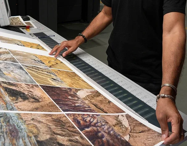 Trifolio about gallery 06