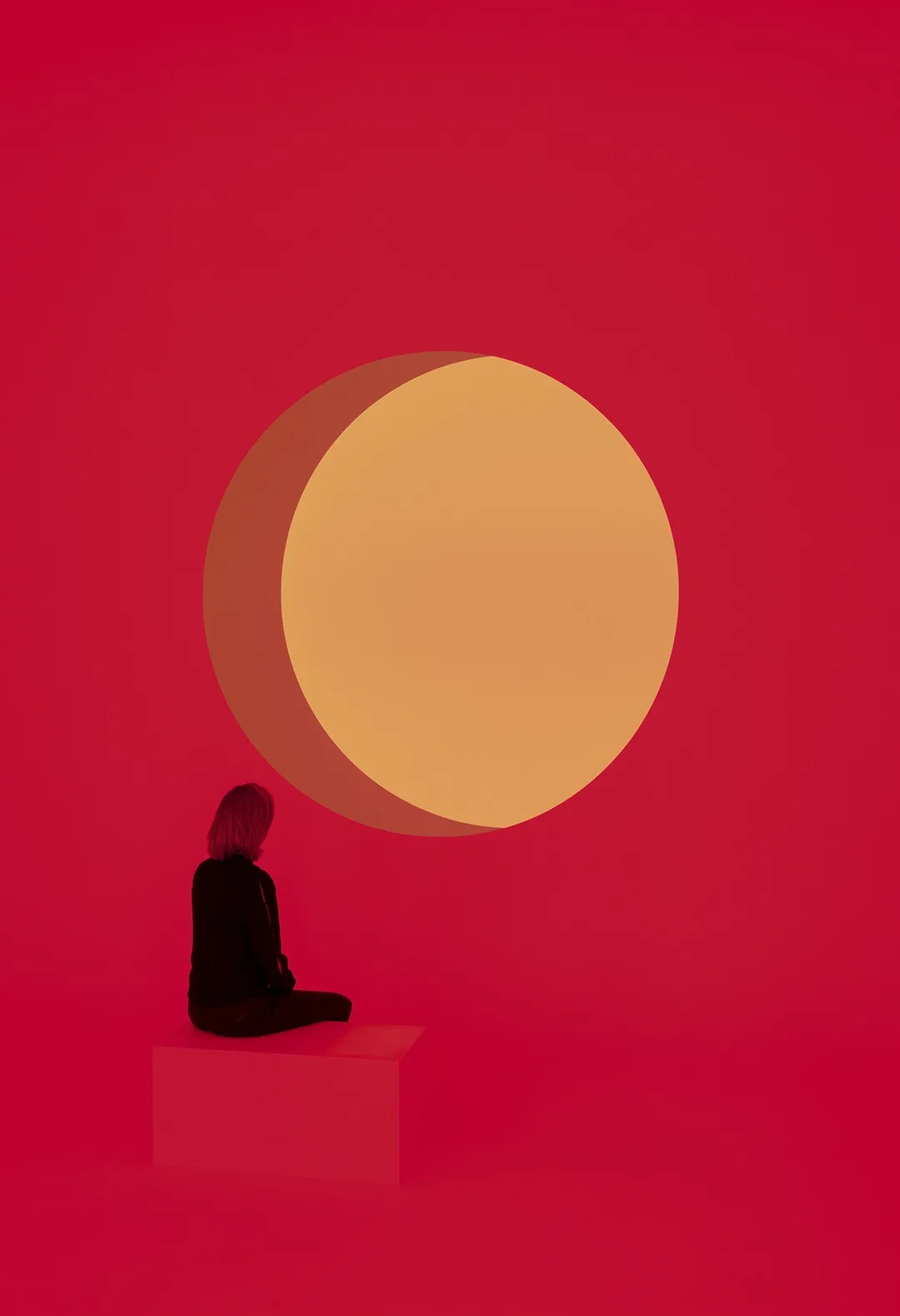 Trilab rosso b