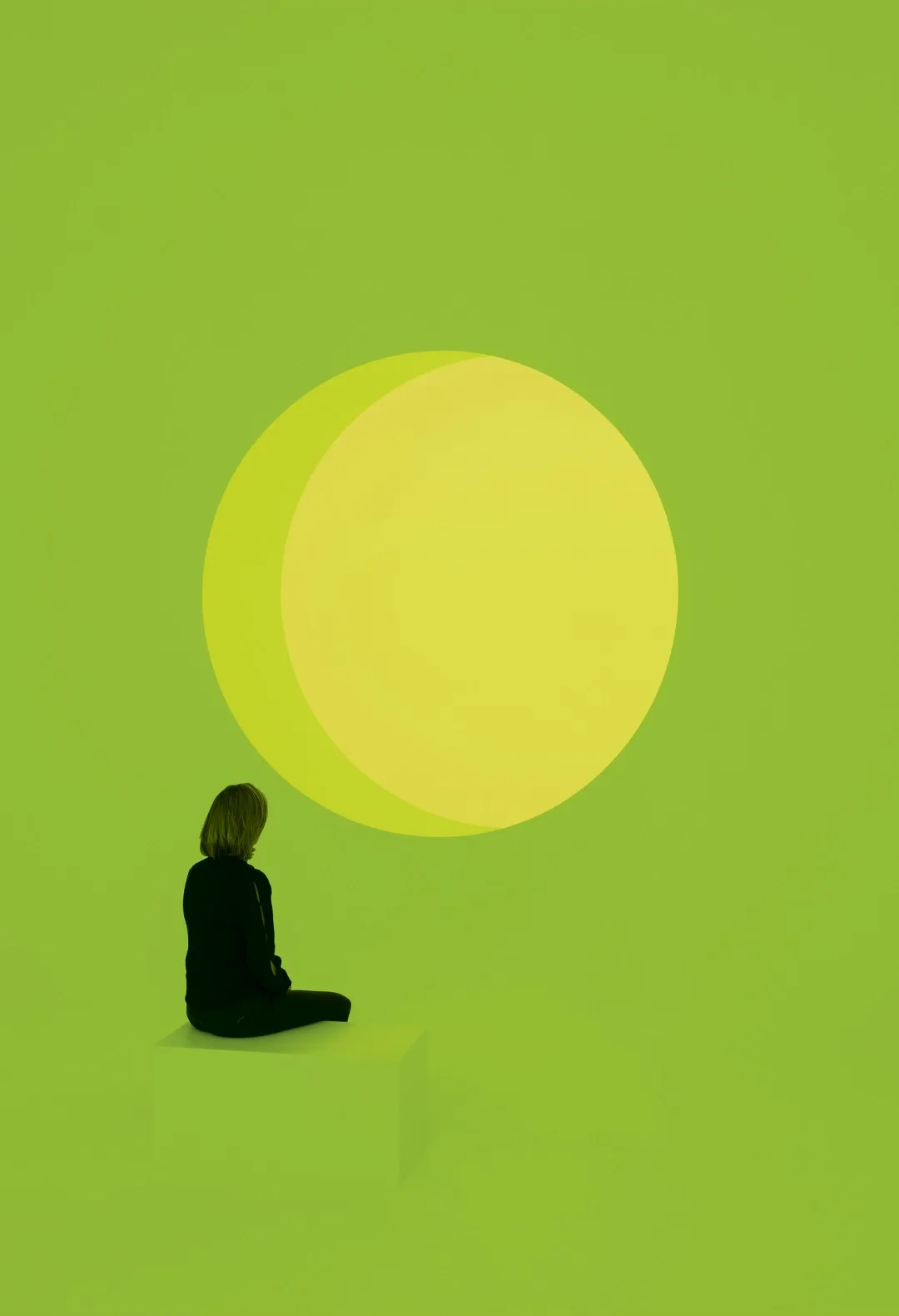 Trilab verde a