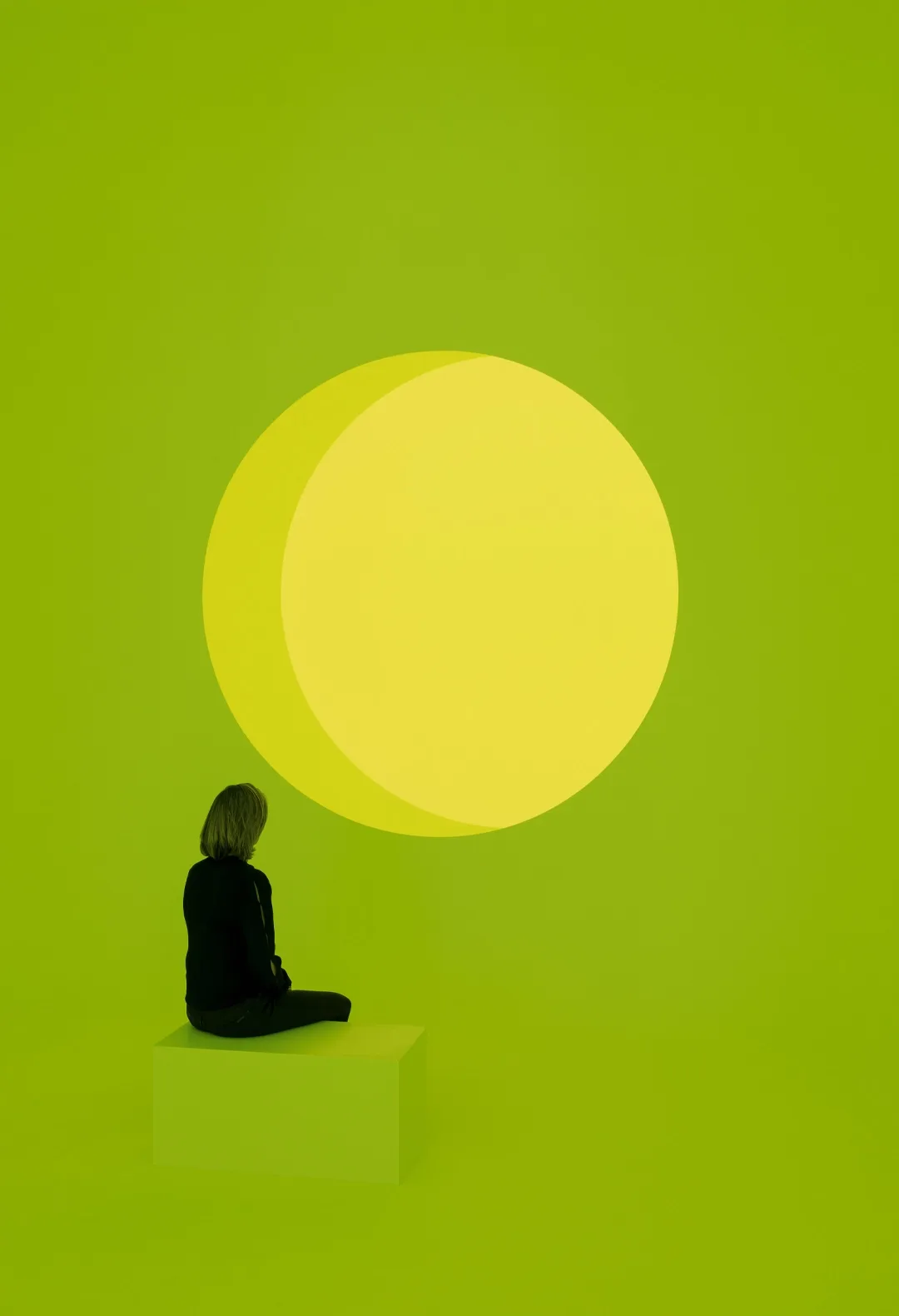 Trilab verde b
