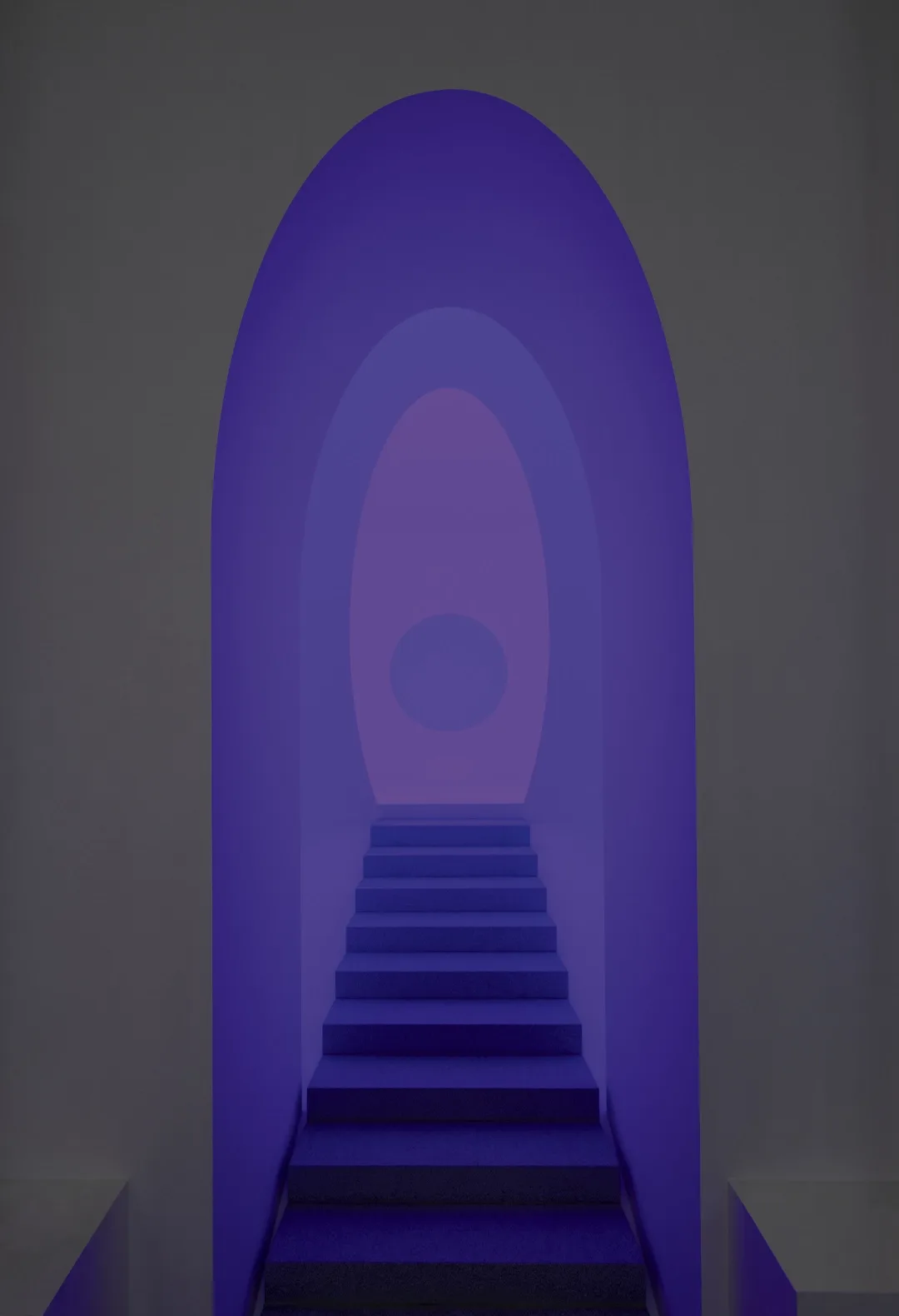 Trilab viola a